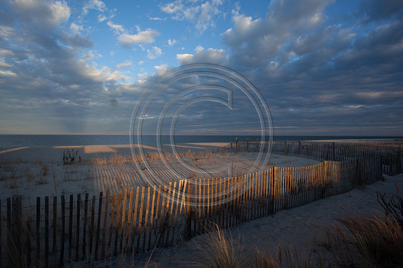 Dune Shadows_3905