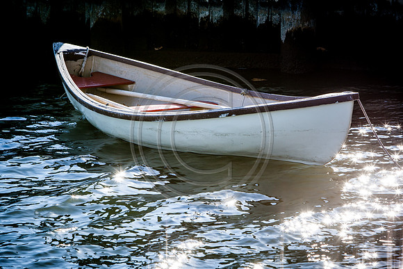 Pleaseure Boat_5870