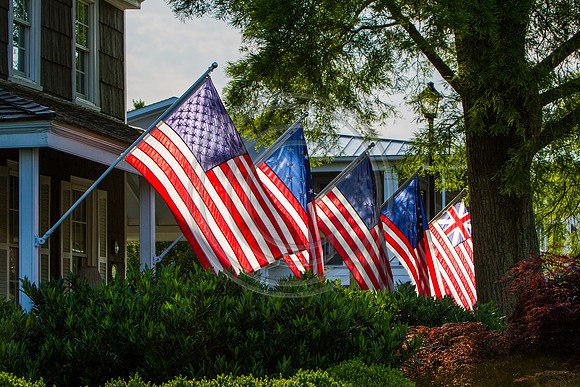 Flags of Lewes_6824 V2