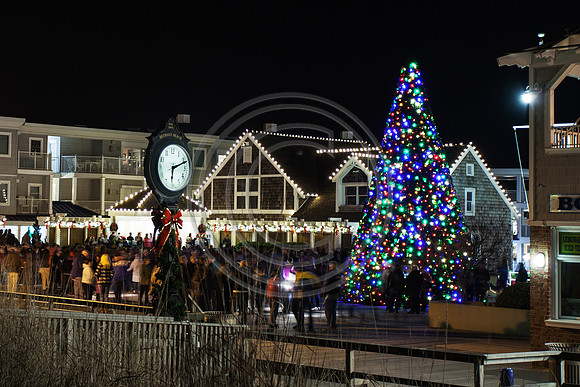 Bethany Christmas Tree Lighting_1560 V2