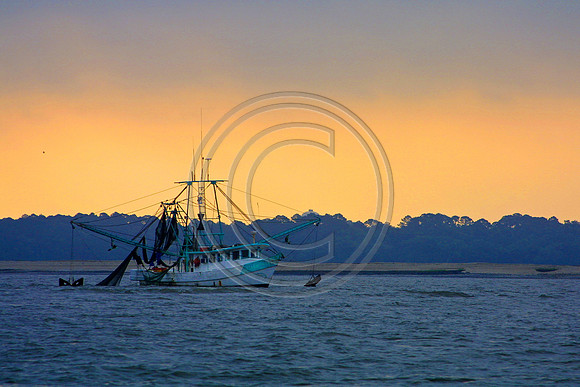 Boats - Kilkenny Shrimper_5888 V1