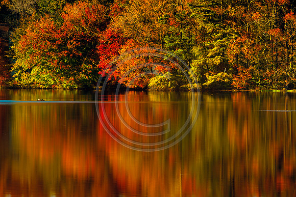 Mill Pond_1298