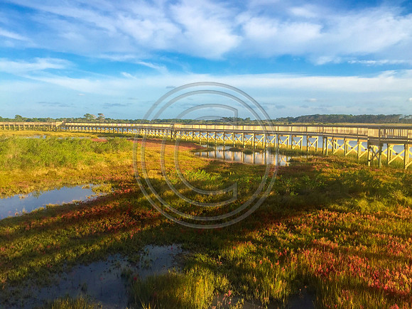 Assetegue wetlands