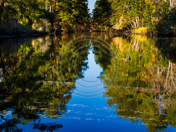 Fall on THe Canal_B080360