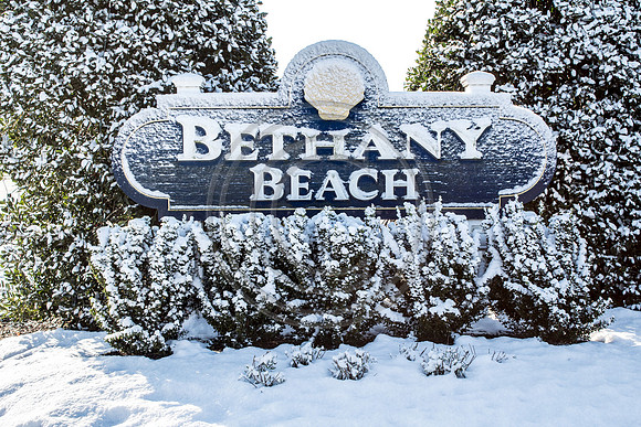Bethany Snow_1689