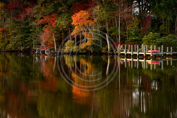 Dockside_9552