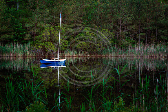 BB Sailboat V2_8840
