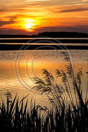 North Marina Basin_6740