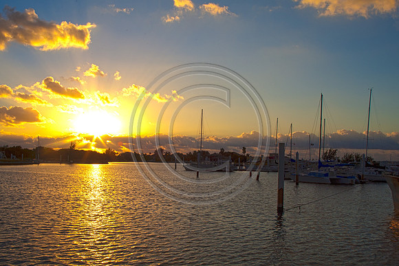 Cayman CI Yacht Club 575859 V3
