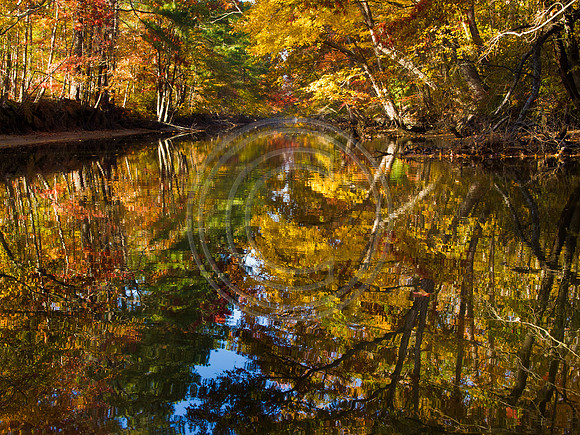 Fall on the canal_B080363