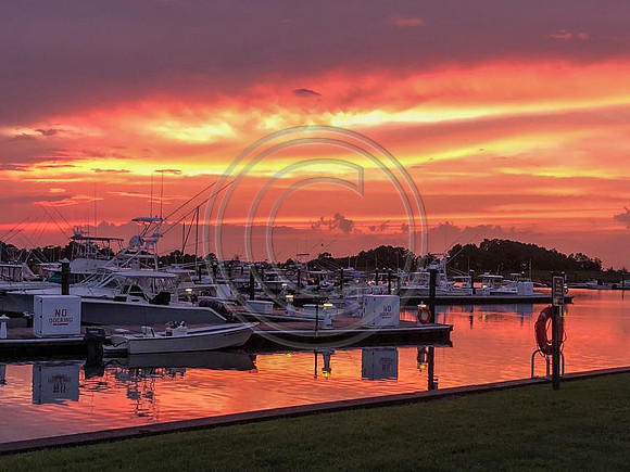 NSM - PHOTO-2019-08-19-20-45-43