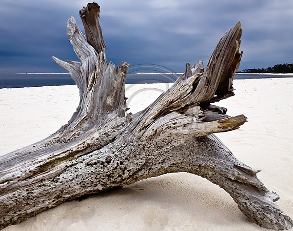 Driftwood 1 V4 De noise AI 11X14 11-15
