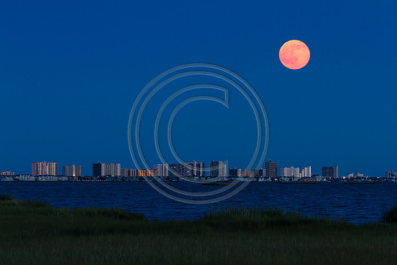 OC Skyline_4628 w strawberry moon