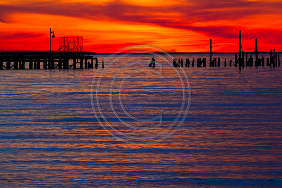 Lewes Pier August Anglers_2880 V1