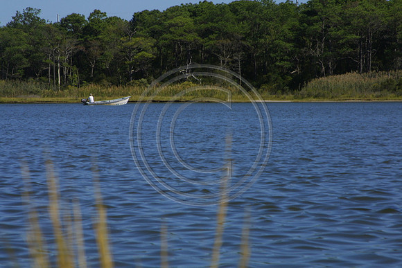Fishing at the point_6066