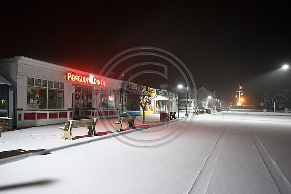 Penguin Dnner in Snow_0542