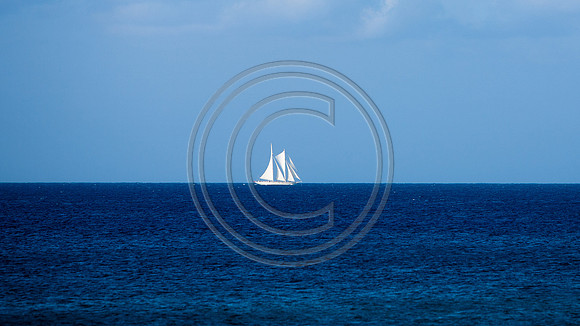 Ocean Sail_2233 V2