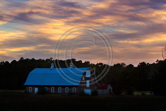 Evening Settling_9675 V3
