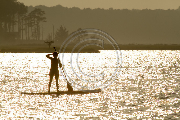 Paddle boarder_3364