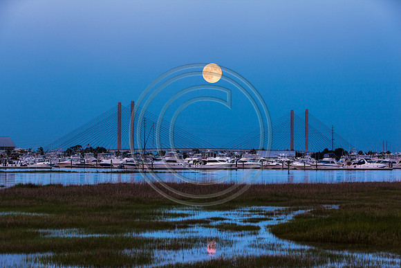 Marina Moon_4783 V2