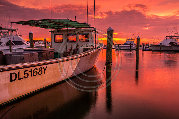 Dusky Marina 718 V6