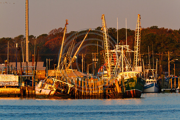 OC Boats - OC Harbor_2629 V3