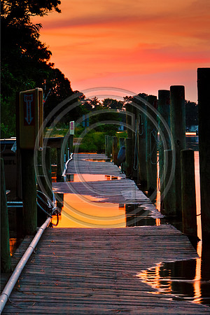 High Tide at Betts Marina