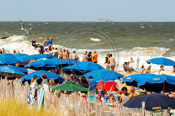 Rough Beach Day_4024