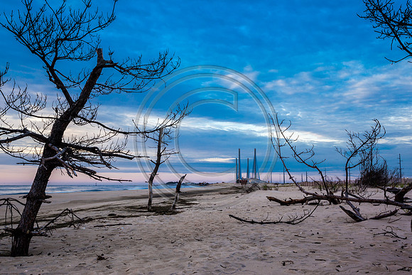 Beach Tree Bridge_4531