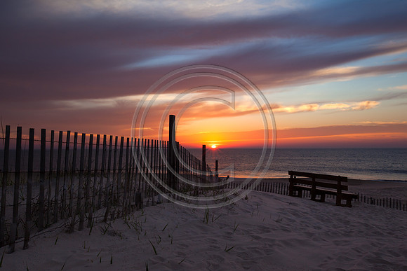 Morning Sunshine!_1343 V2