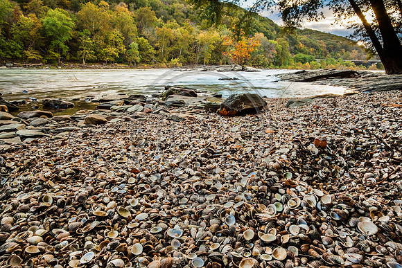 Harpers Ferry Shells