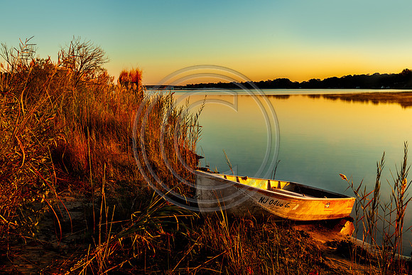 Morning Row_2701