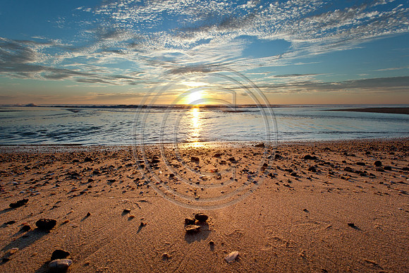 Beach Peebles_0604 V2
