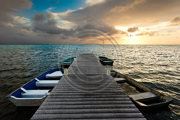 Garvin Dock_2969