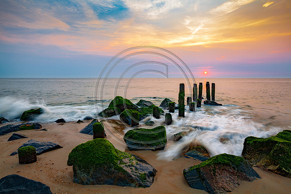 Herring Point_0074 V5