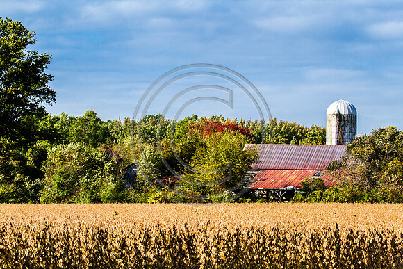 Delaware Barn_0347