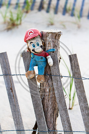 Mario_3293