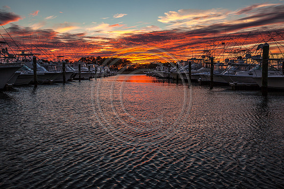 NSM - Marina Fall Sunset_9814