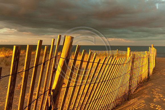 Henlopen Fenceline_7448