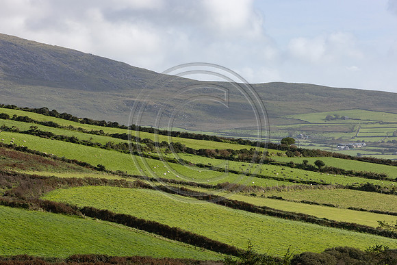 Ireland 0553